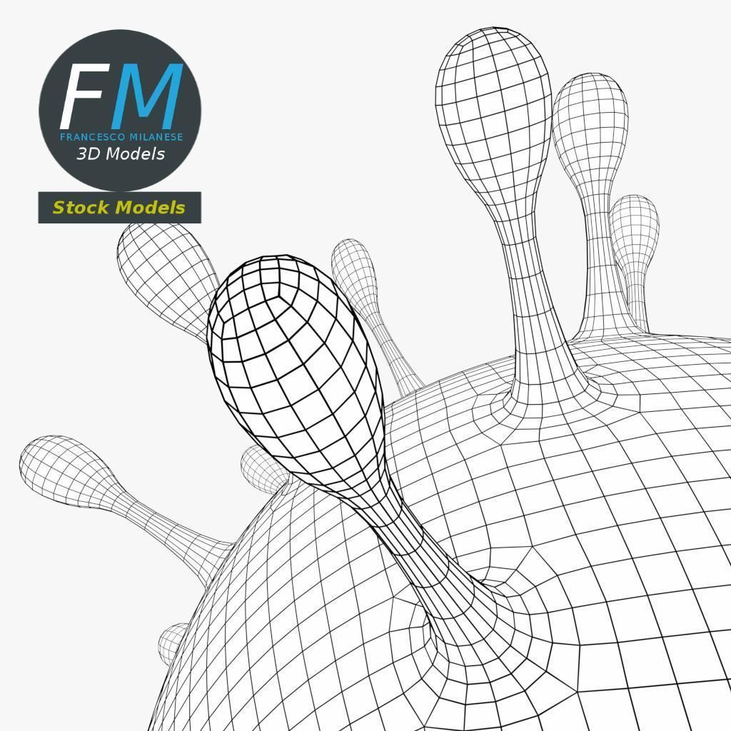 Coronavirus corona virus 3D model_8