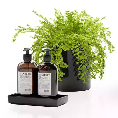 Maidenhair ferns with decor set for bathroom