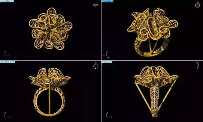 Fusion Ring Models 