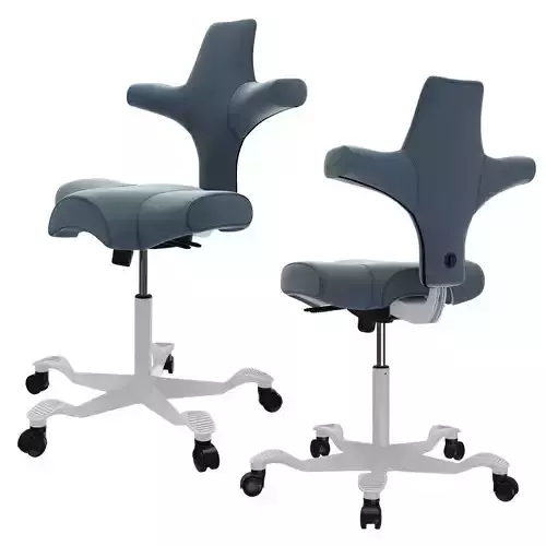 Armchair HAG CAPISCO 8106 3D model
