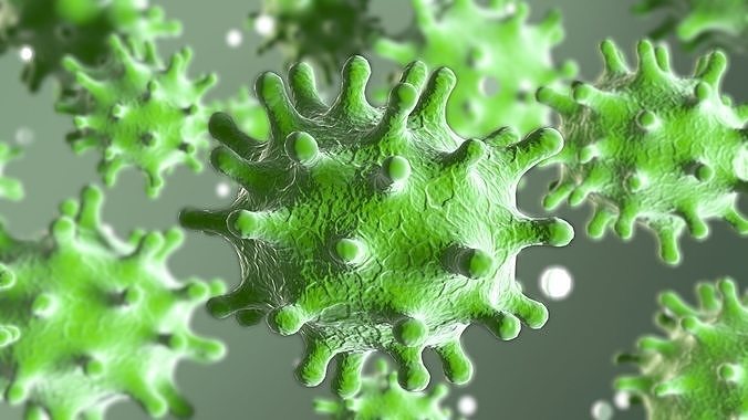 Coronavirus 3d model 3D model