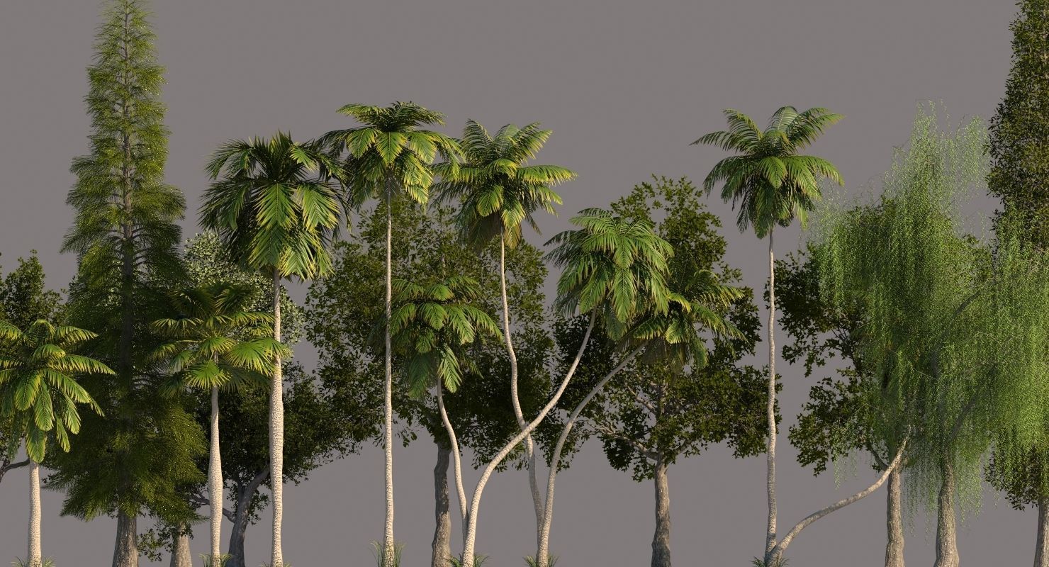 Tree Pack 01 3D model_1