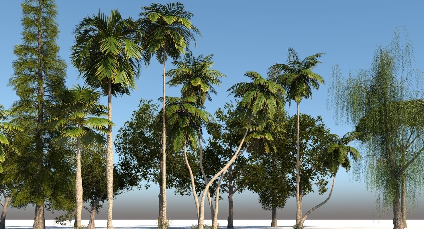 Tree Pack 01 3D model_6