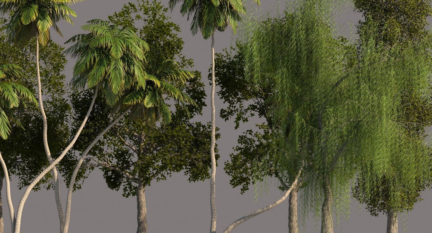 Tree Pack 01 3D model_3