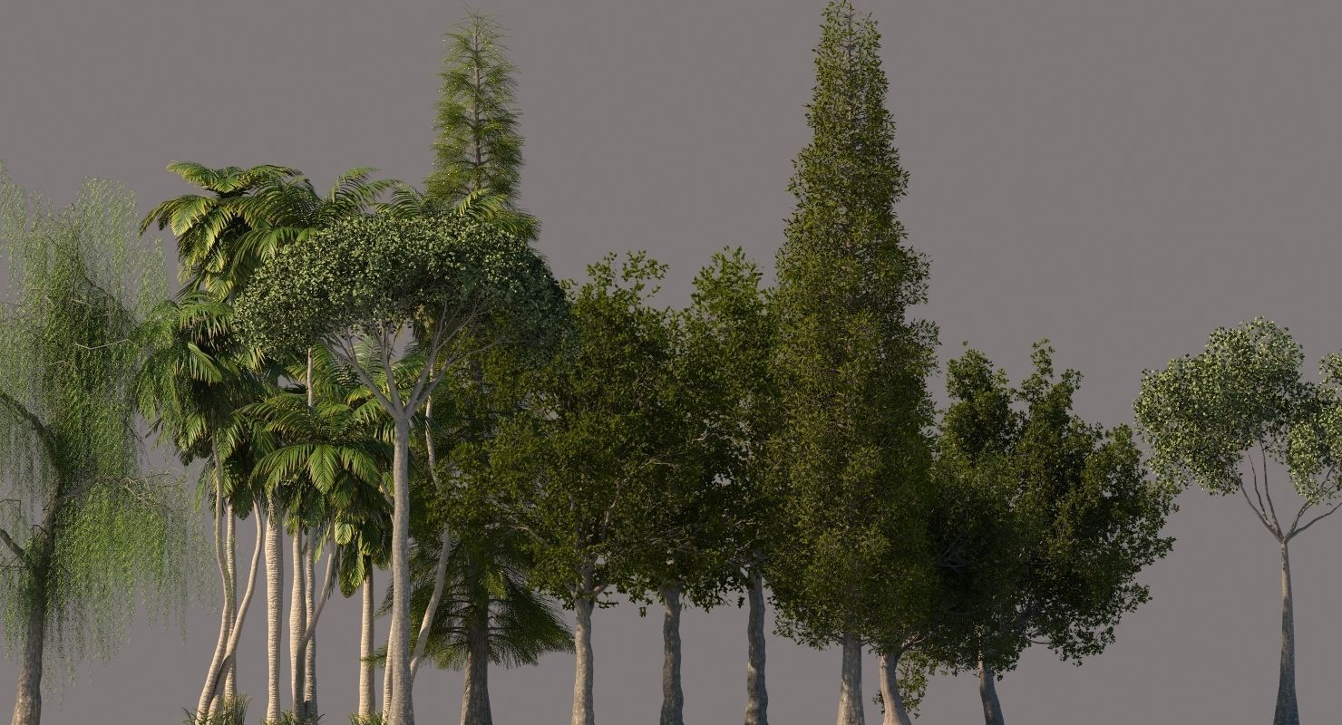 Tree Pack 01 3D model_7