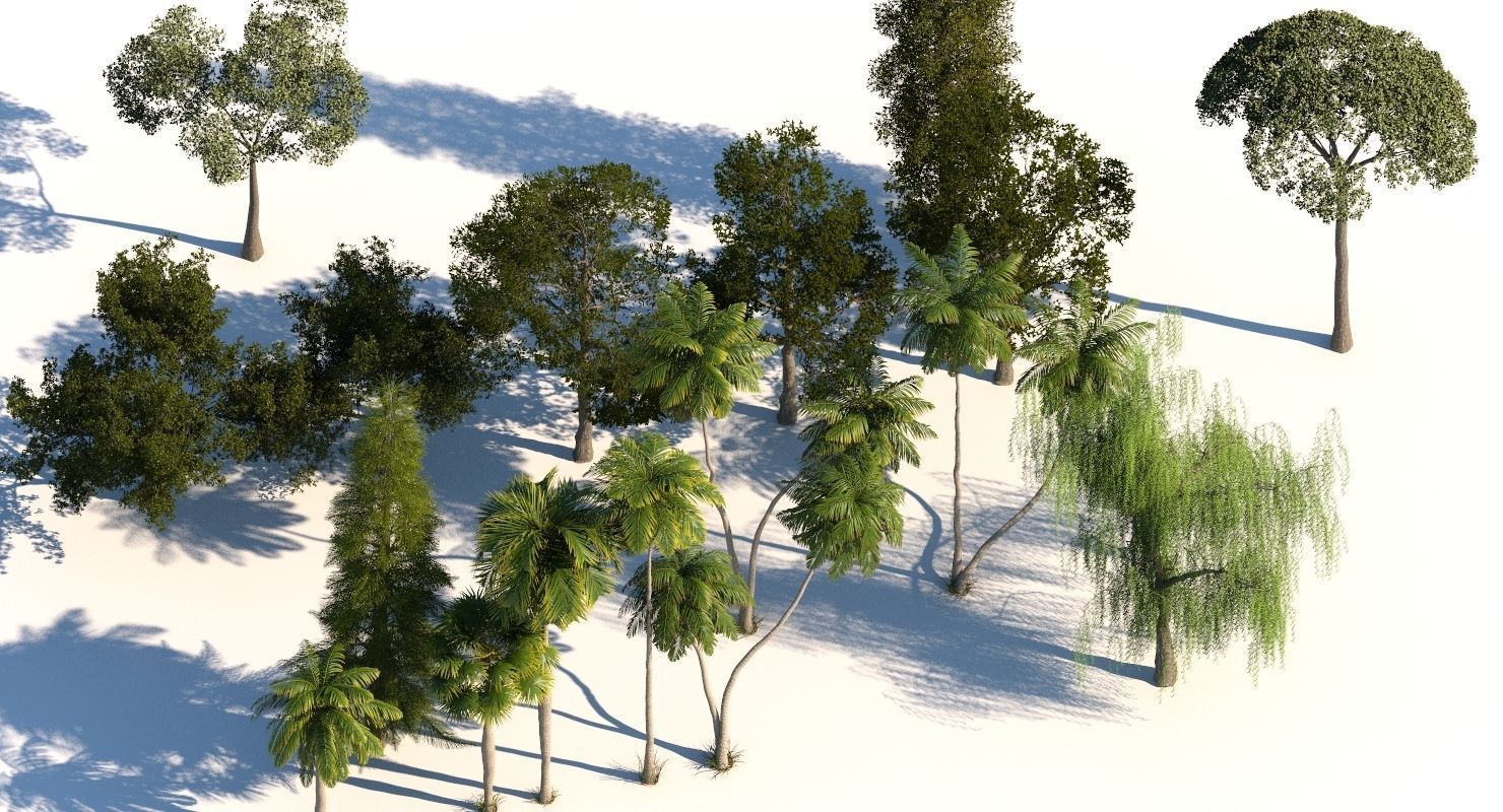 Tree Pack 01 3D model_5