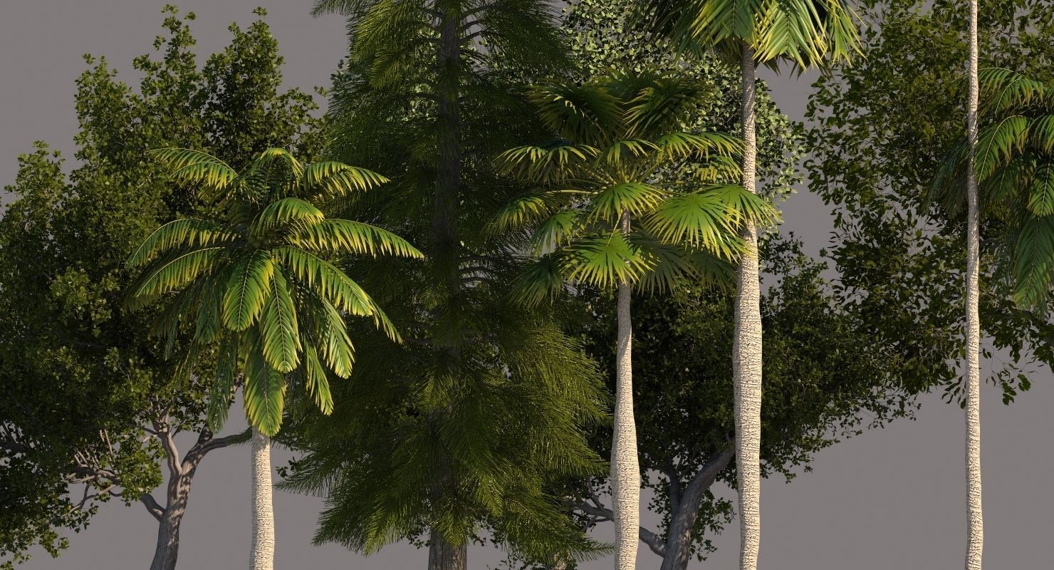 Tree Pack 01 3D model_2