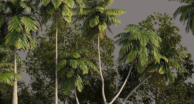 Tree Pack 01 3D model