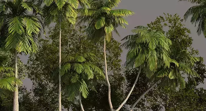Tree Pack 01 3D model
