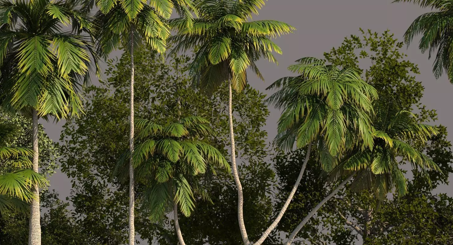 Tree Pack 01 3D model_0