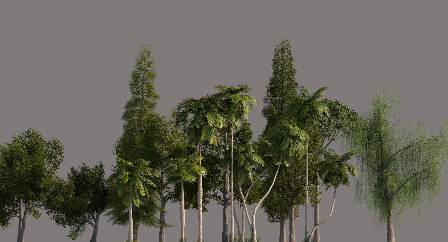 Tree Pack 01 3D model_4