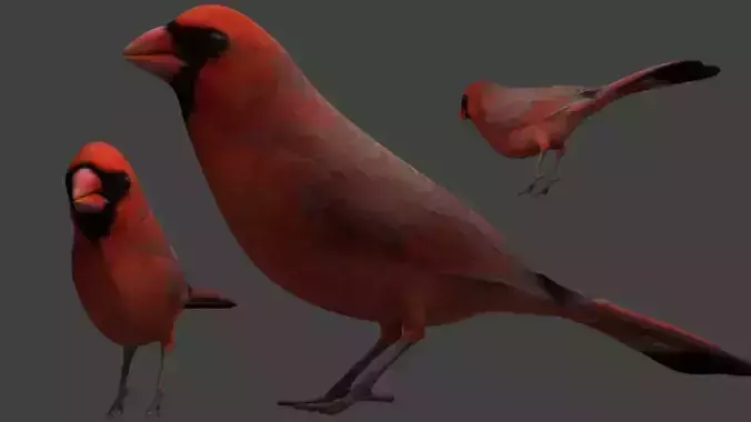 2 Birds Cardinal Red simple
