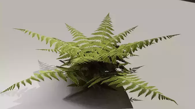 Low Poly Hand Drawn Fern