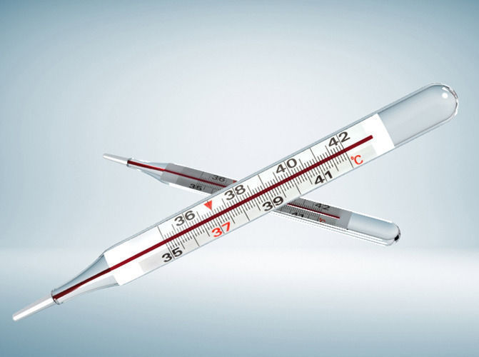 Thermometer two thermometers Low-poly 3D model_1