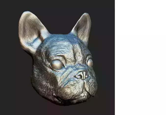 Sculpted dog face 