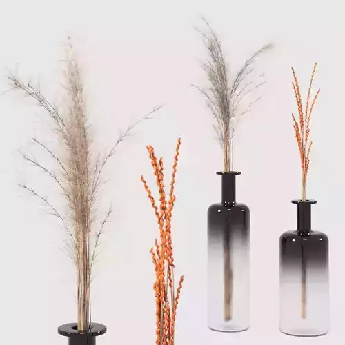 Decorative set of dry wind and ears of wheat 3D model