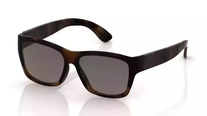 Eyeglasses for Men and Women 3D print model