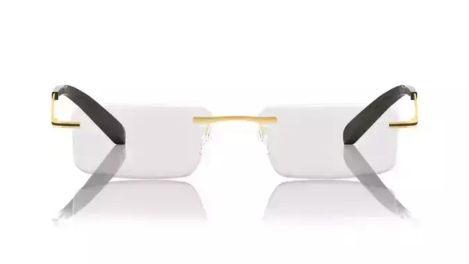 Eyeglasses for Men and Women 3D print model