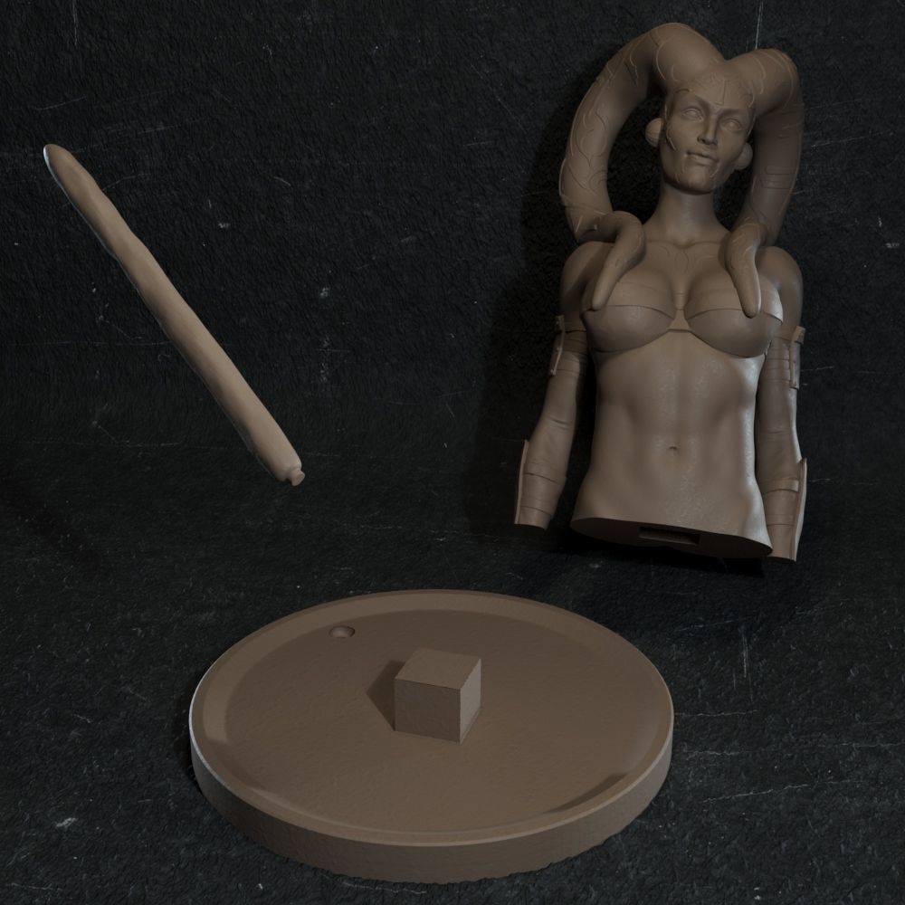 Darth Talon figure 3D print model_6