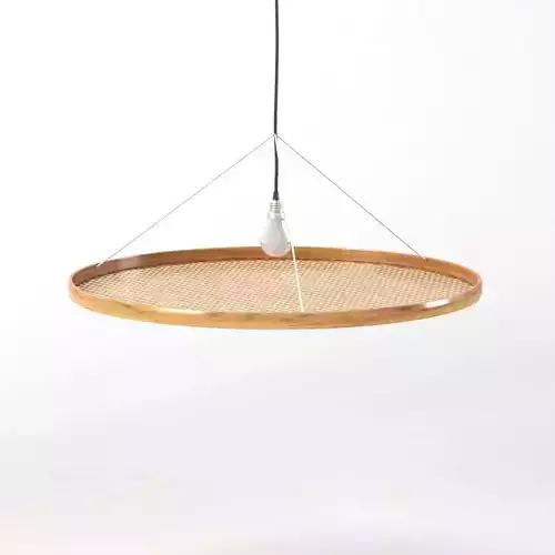 Chao Zhang Shadow Light 3D model