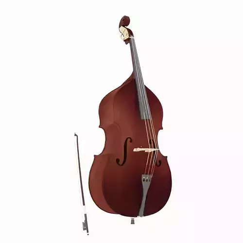 Double bass 