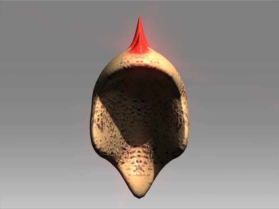 Desert Giant Lizard Helmet Low-poly 3D model_13