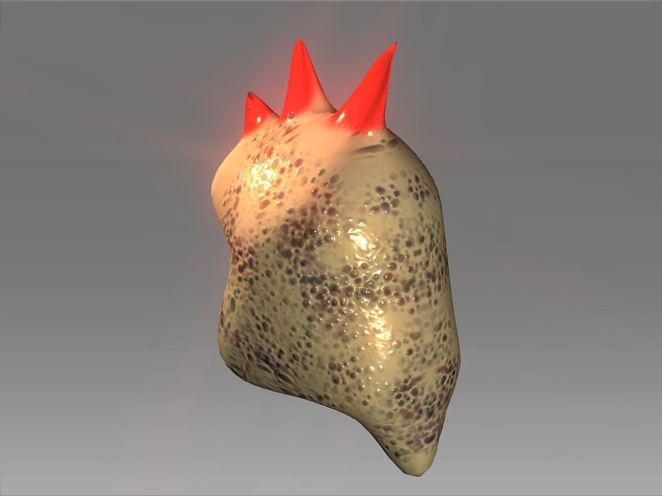 Desert Giant Lizard Helmet Low-poly 3D model_32