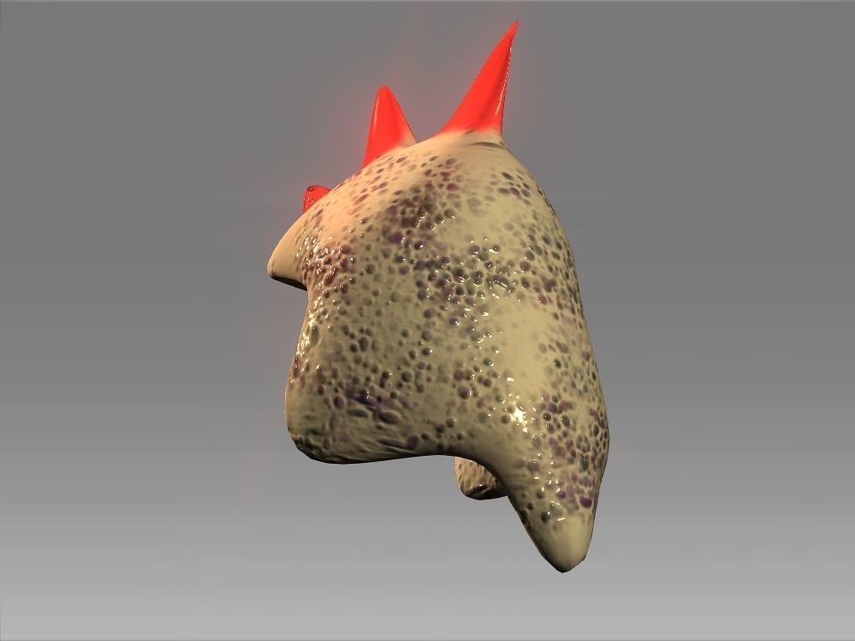 Desert Giant Lizard Helmet Low-poly 3D model_16