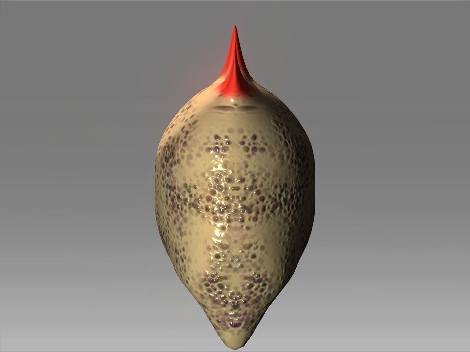 Desert Giant Lizard Helmet Low-poly 3D model_3