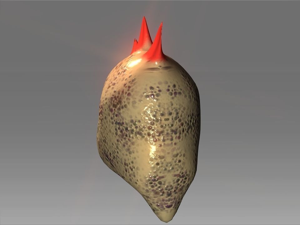 Desert Giant Lizard Helmet Low-poly 3D model_2