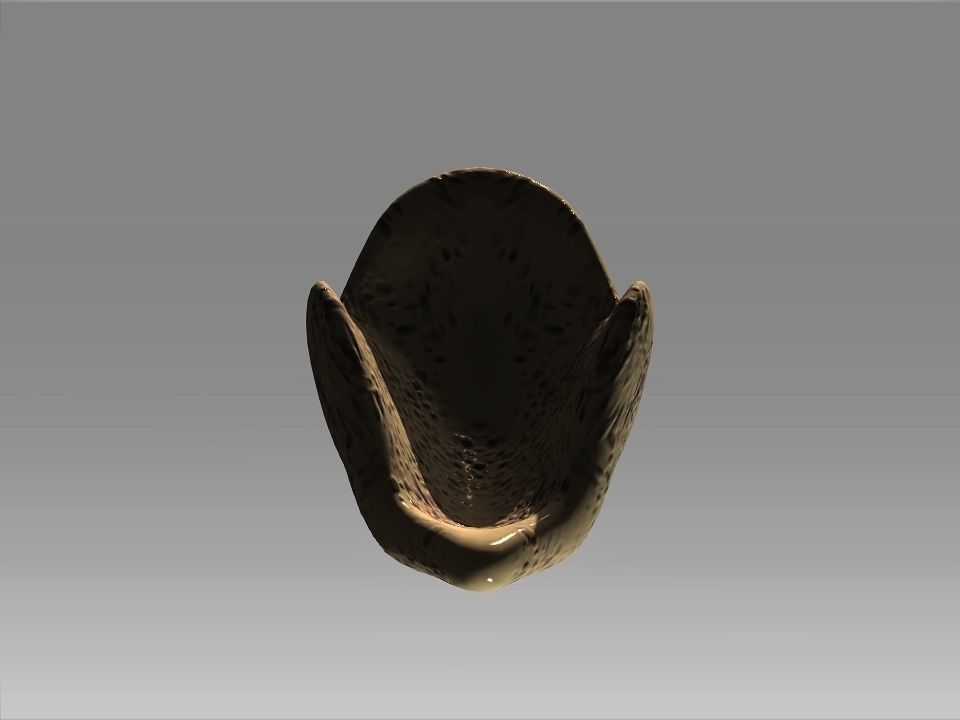 Desert Giant Lizard Helmet Low-poly 3D model_26