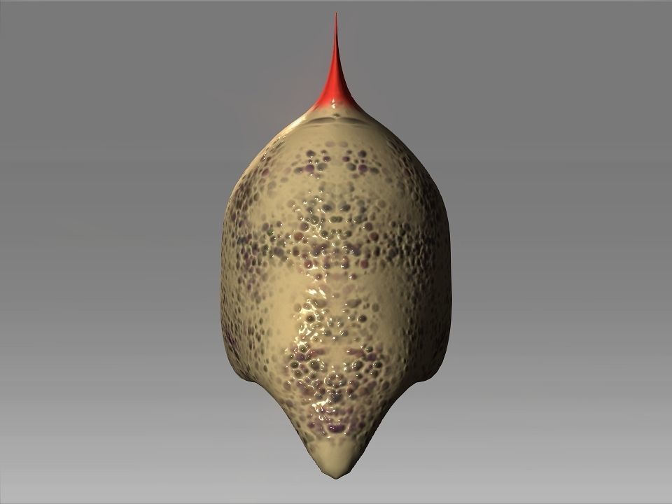 Desert Giant Lizard Helmet Low-poly 3D model_24