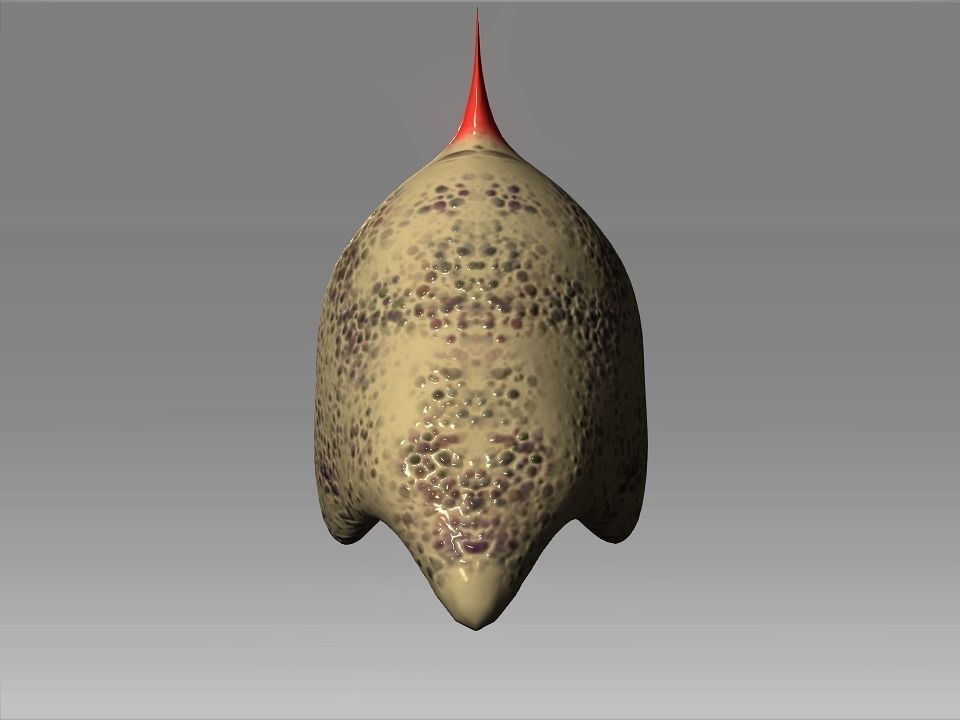 Desert Giant Lizard Helmet Low-poly 3D model_17