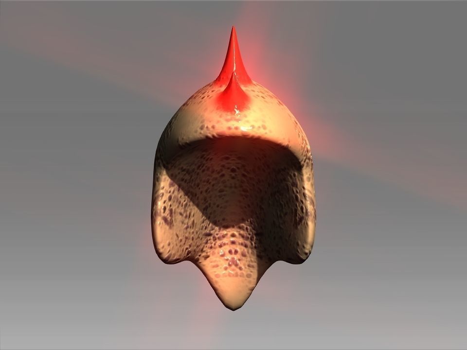 Desert Giant Lizard Helmet Low-poly 3D model_23