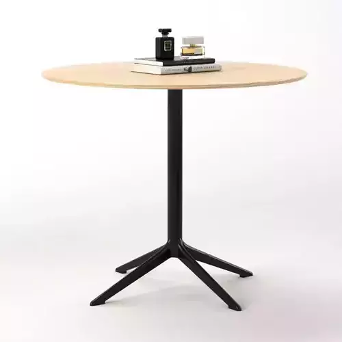 Axyl Table 3D model