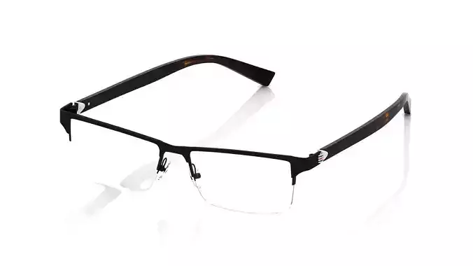 Eyeglasses for Men and Women 3D print model