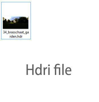 Barley wheat Low-poly 3D model_11