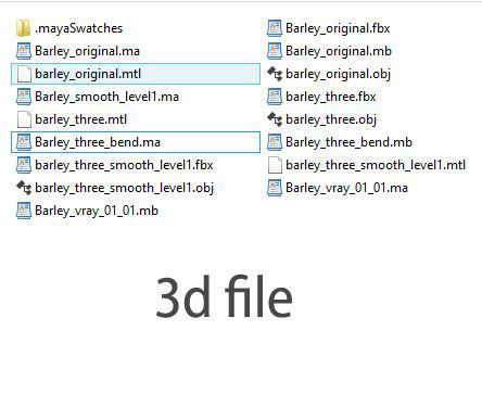 Barley wheat Low-poly 3D model_9