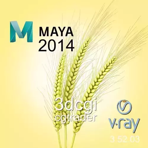 Barley wheat Low-poly 3D model