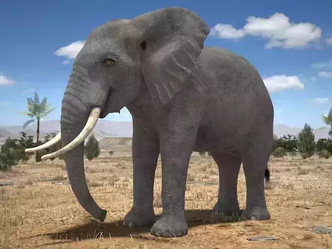 African Elephant Rigged for 3dsmax