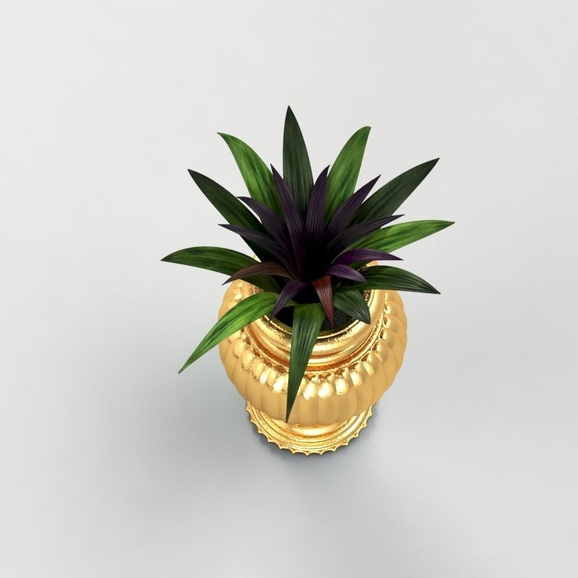Vase Plant 3D model_4