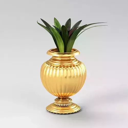 Vase Plant