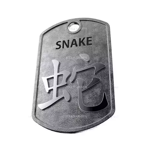 Snake Chinese Zodiac Pendant design