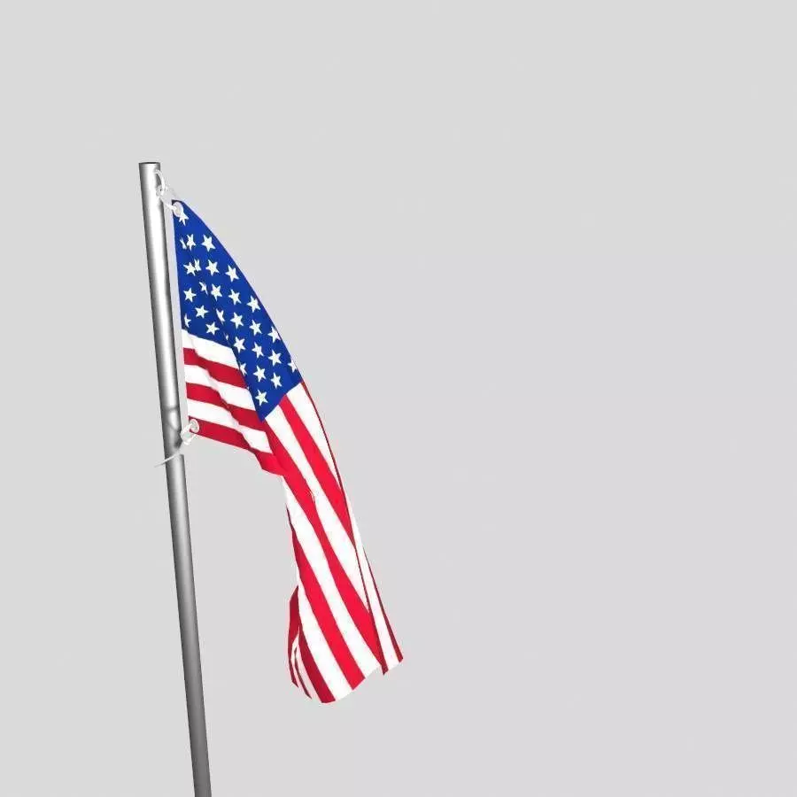flag animation 3D model USA 3D model_2