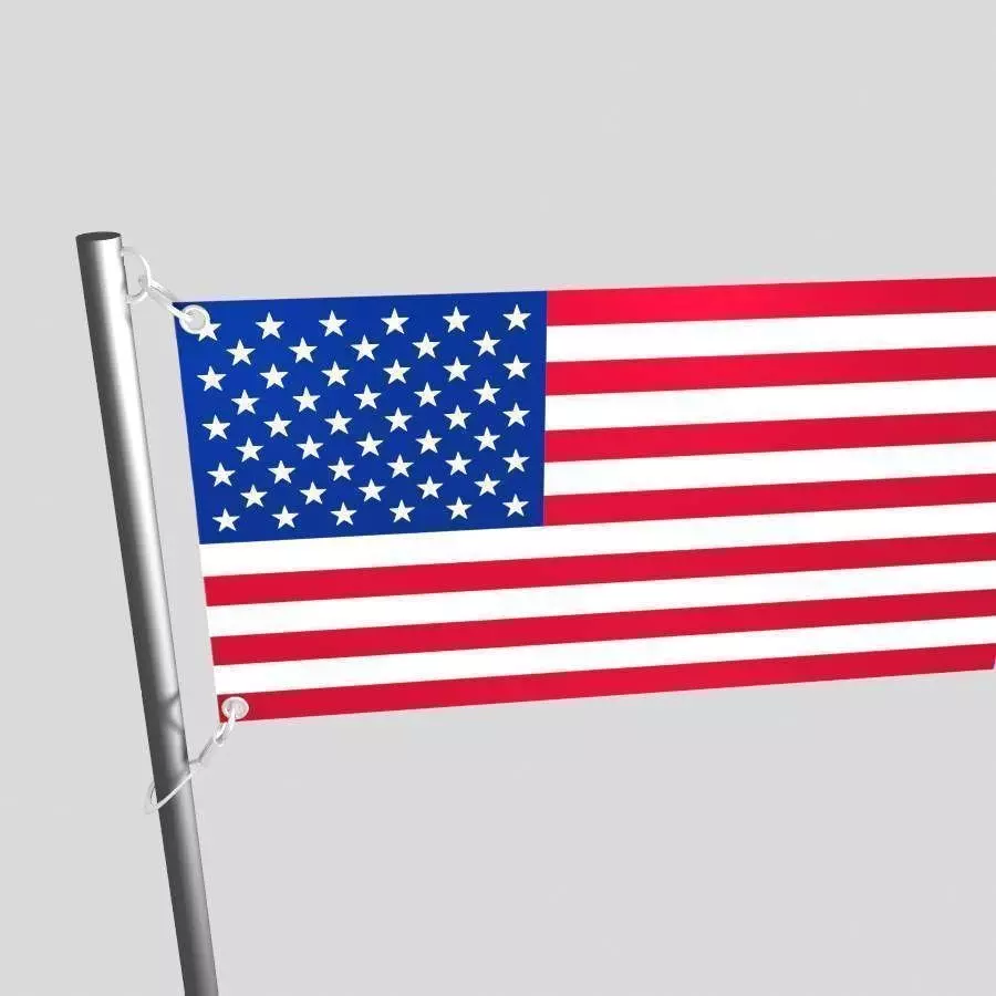 flag animation 3D model USA 3D model_5