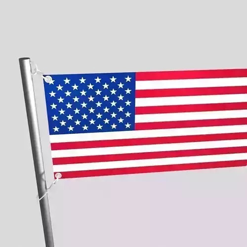 flag animation 3D model USA