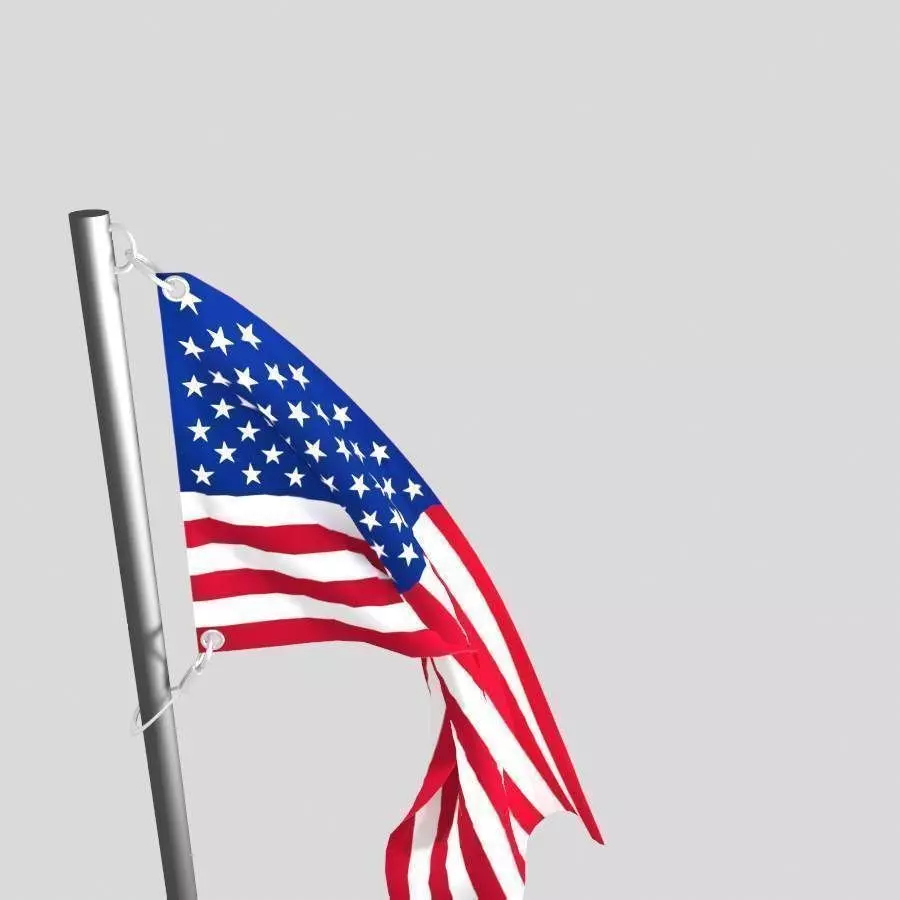 flag animation 3D model USA 3D model_3
