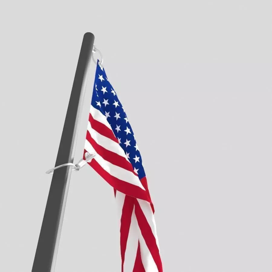 flag animation 3D model USA 3D model_4