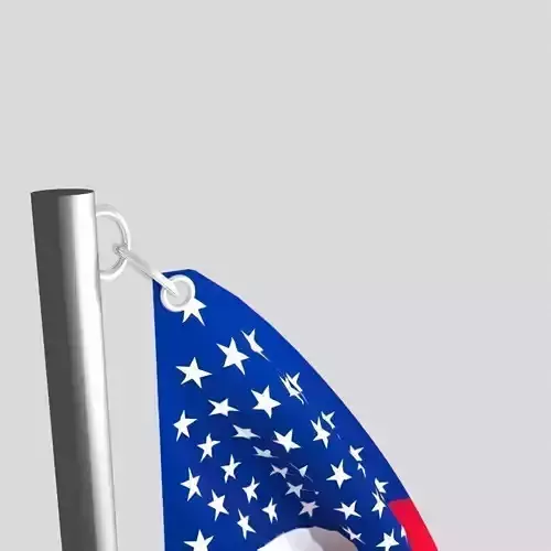 flag animation 3D model USA 3D model