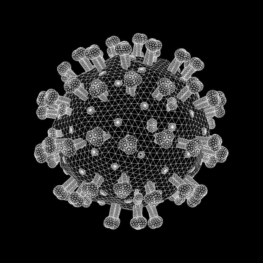 Coronavirus 3D model_1